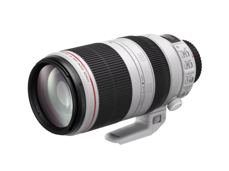 Canon EF 100-400mm